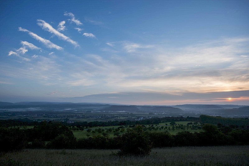 Der Saargau ist eine Kulturlandschaft, mit vielen alten Bäumen und seltenen Obstsorten.