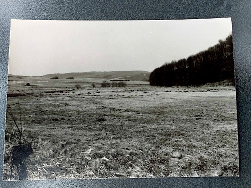 Ein idealer Standpunkt: Die Landschaft um die Ortschaften Neunkirchen/Nahe, Gonnesweiler, Bosen und Eckelhausen. Foto Hermann Scheid