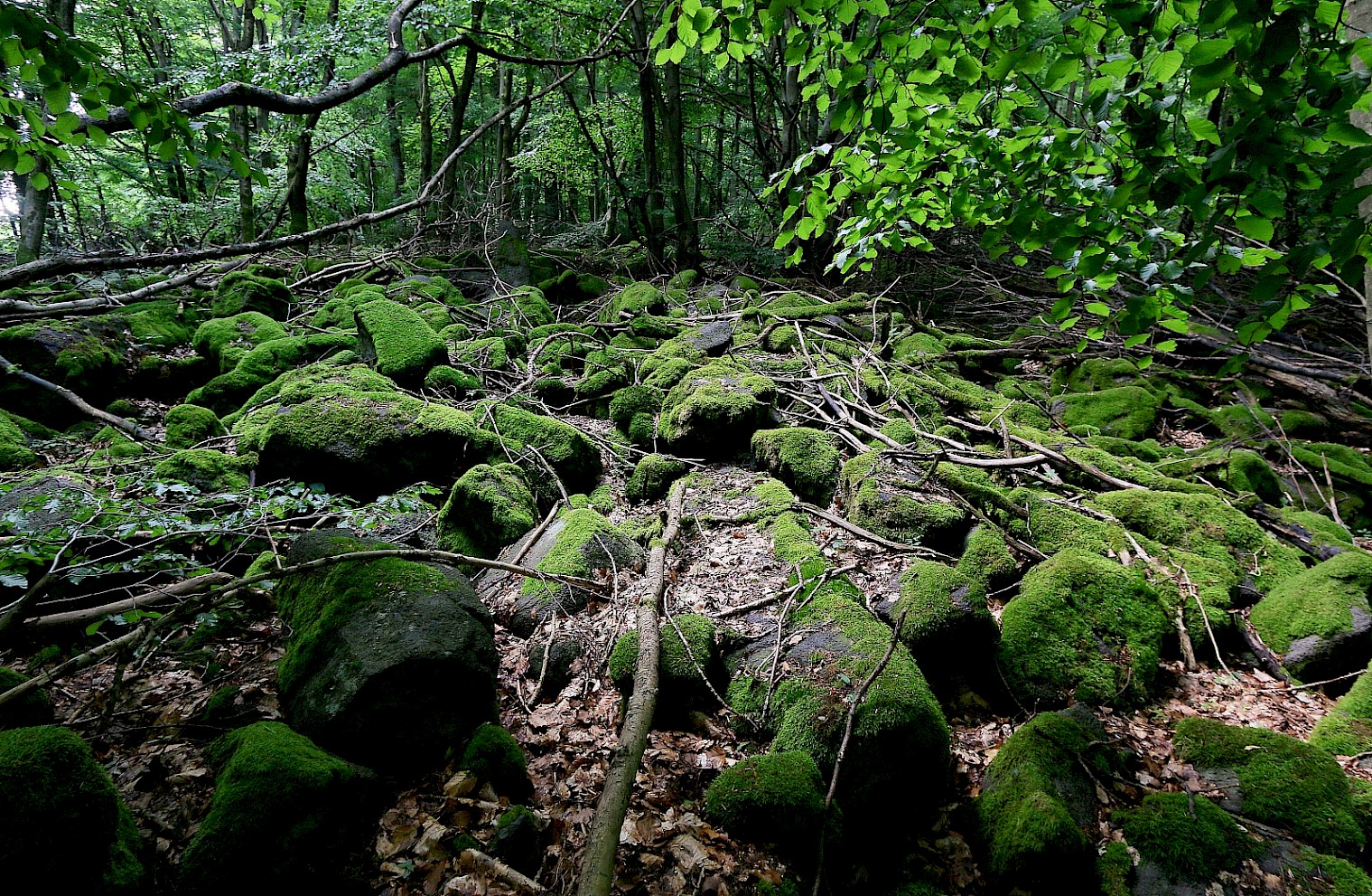 Steinernes Meer, Foto: Bonenberger.