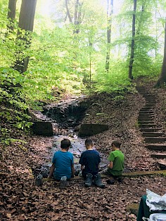 Kalktufftreppe- ein herrlicher Platz zum Verweilen, mitten unter Bäumen und am Wasser zugleich. Das Foto machte Beatrix Leinen