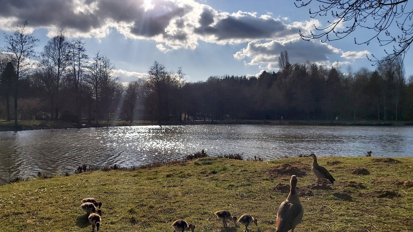 Autorin Melanie Schmitt besuchte den Jägersburger Weiher.