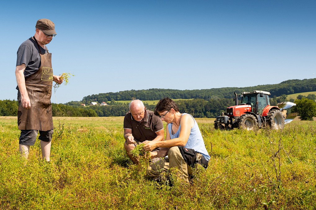 Jörg Hector, Patric Bies und Landwirtin Christine Kiefer, Wolfersheim beim Anbau von Linsen und Kichererbsen: Foto: