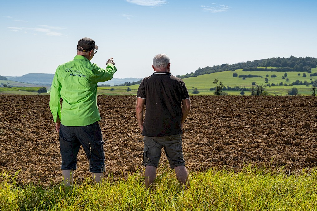 Blick vom Ölmühlenweg. Foto: Manuela Meyer